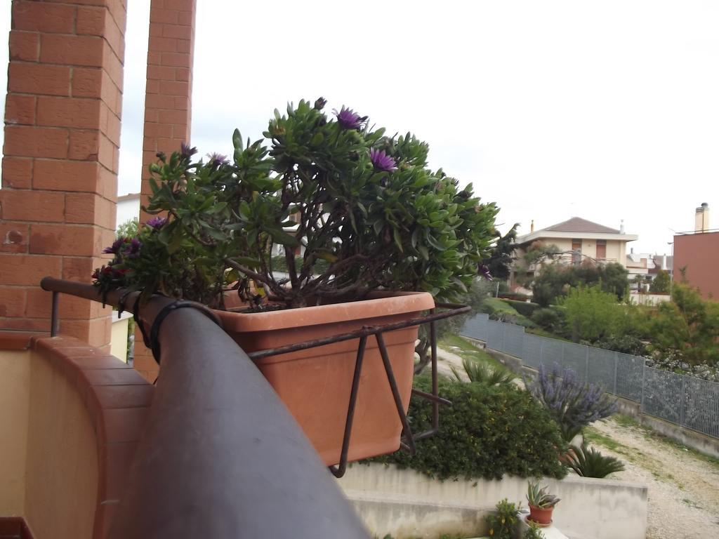 Bed and Breakfast La Specchia Matera Esterno foto